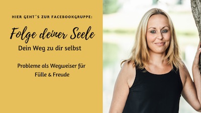 Folge Deiner Seele - Verlinkung zur Facebook-Seite